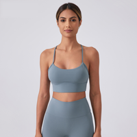 Sujetador deportivo para mujer OEM personalizado, acolchado, sin aros, espalda en Y, de alta sujeción, de nailon, para correr, gimnasio, fitness, marca privada, venta al por mayor