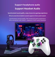 NS016 con Vibración, Programación Macro, Sensor de Movimiento de Seis Ejes, Switch2 para Control de Juegos para Switch2/PC/Android/iOS