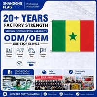 Drapeau national personnalisé 3x5 pieds en polyester non tissé, bannière publicitaire rectangulaire d'extérieur résistante aux UV, impression numérique