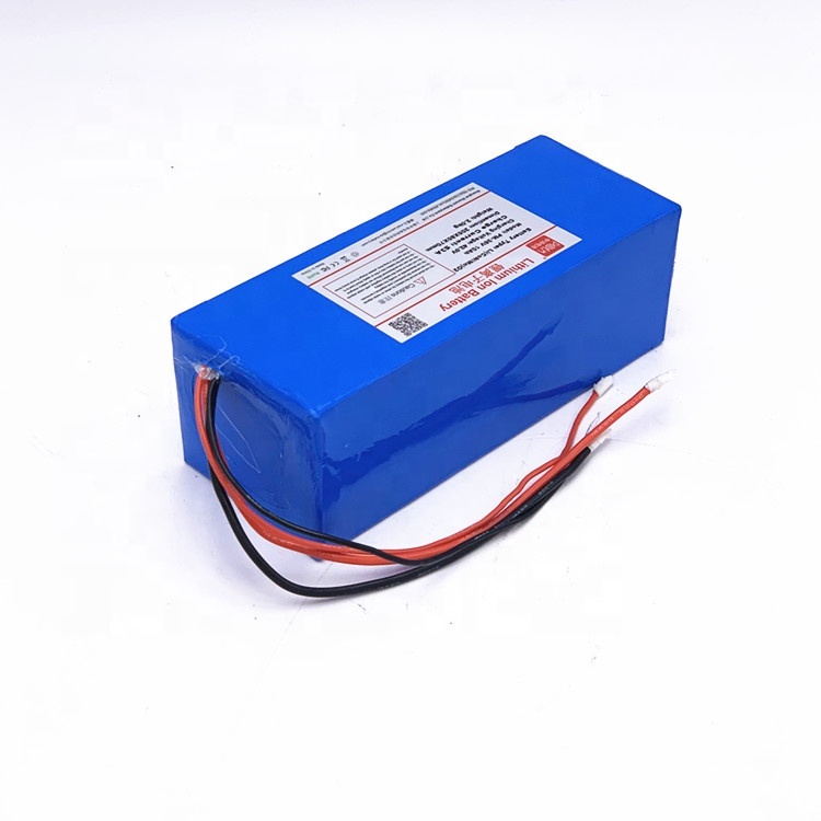 Lipo Battery for Electric Bike High Capacity 2000 Cycle