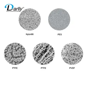 Pabrik Cina Darlly PP Filter Kapsul Inkjet 1/5/10 Mikron Filter Industri dengan Rumah Polypropylene Tahan Lama