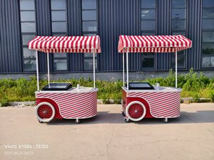 Camión de Helados Personalizado, Carrito Móvil de Acero Inoxidable para Helados en Bola con Mostrador de Exhibición - Product Image 2