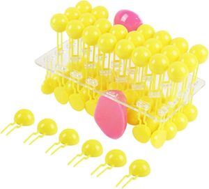 Hücre Membranı Akış Modeli Yapısı Anatomik Model Hücre Akış Mozaik Modeli <span class=keywords><strong>Protein</strong></span> ve Lipid Molekülleri Biyolojik Öğretim - Product Image 4