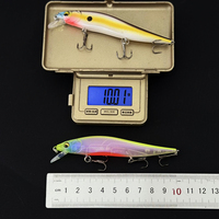 Señuelos Duros Flotantes Magic Works Minnow de 110 mm y 10 g, Sistema de Pesca con Señuelos Tipo Jerkbait para Lubina y Peces Pequeños