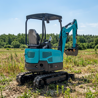 Mini-excavatrice, homologuée CE EPA, garantie directe usine 10 ans, couleur OEM, pelle compacte sur chenilles
