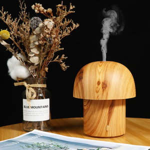 Difusor de Aroma con Diseño de Luz Cálida, Diseño Atmosférico, Combinando Luz Nocturna y Aroma. - Product Image 5