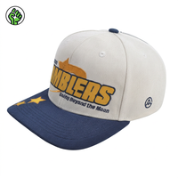 Casquette Snapback Unisexe Personnalisée en Denim Vintage Classique à 6 Panneaux avec Logo Brodé, Respirante, Imperméable et Sportive
