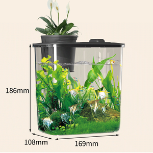 Aquarium tout-en-un viral avec écosystème clair, décor de rocaille, plateau supérieur pour plantes, filtre, mini-aquarium pour débutants, petits poissons d'eau douce - Product Image 6