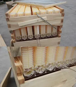 Bienenstock automatischer selbst fließender Bienenstock aus Holz