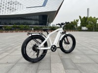 Vélo électrique hybride Big Power Mountain 15Ah avec batterie dissimulée, moteur arrière Bafang, pneus larges, style cruiser de plage