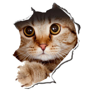 Autocollants muraux 3D amovibles imperméables motif chat mignon, décalcomanies de voiture <span class=keywords><strong>Simons</strong></span> Cat, décoration intérieure, impression offset personnalisée - Product Image 2