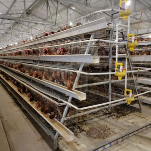 96/128 3/4 livelli di uccelli commerciano uno strato di tipo gabbie di pollo rimozione del letame a manovella per l'allevamento di pollame di uccelli 1000 - Product Image 1