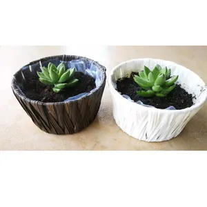 boho house outdoor 6 inch white colored round plastic rattan ratan cane bonsai potted small plant pots for indoor plants