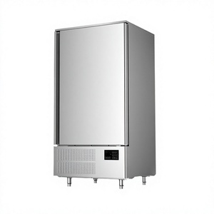 Armoire Réfrigérée en Acier Inoxydable (-45°C à -80°C) Congélateur à Refroidissement par Air Adapté à la Viande, aux Fruits de Mer et à un Usage Domestique - Product Image 5