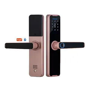 Aether Preço barato Boa Qualidade Tuya Ttlock Fingerprint Smart Door Lock Para Home Apartment Hotel