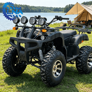 LNA Spare Parts Available <strong>250cc</strong> Atv <strong>Quad</strong> Bike Commercial Grade for Track <strong>Racing</strong> - Product Image 1