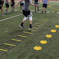 Kit d'entraînement à la vitesse et à l'agilité en gros, échelle d'agilité de 6 m de long pour l'entraînement sportif, prix le plus bas