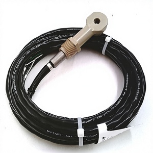 Nouveau Contrôleur PLC d'Automatisation Industrielle Rosemounte 228 Original, en Stock, Module PLC d'Automatisation Industrielle 228 - Product Image 4