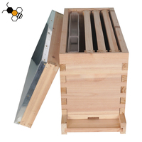 Boîte nuc à 5 cadres d'élevage de reine en bois populaire pour ruche langstroth