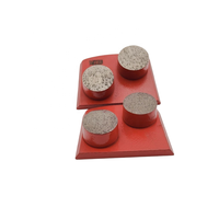 Disques abrasifs diamantés à double bouton pour machines Blastrac – OEM disponible, haute efficacité, longue durée de vie pour le béton