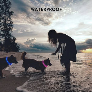 Leuchten Sie LED-Hunde halsband Wasserdicht im Dunkeln leuchten TPU Cut table Puppy für kleine mittelgroße Hunde - Product Image 6