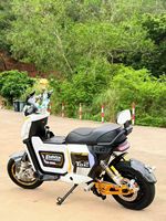 Bicicleta Eléctrica Urbana con Motor Trasero de 1500W, Velocidad Máxima de 60km/h, Frenos de Disco de 3 Velocidades, Cuadro de Acero al Carbono