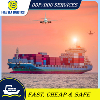 Transitaire DDP pour le transport maritime de la Chine vers Haïti, la Jamaïque, le Guatemala et la République Dominicaine - Service DDP par voie maritime