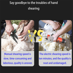 Cesoie per lana di pecora per <span class=keywords><strong>cani</strong></span> con regolazione della velocità elettrica/macchina per tosatura della lana di pecora di buona qualità - Product Image 4