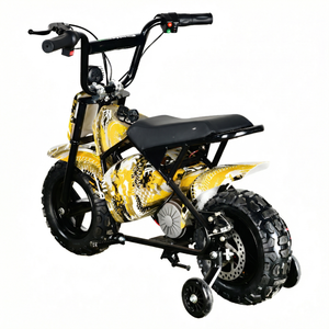 MAXSPEED - Motocicleta de Cross 250DH Más Vendida, Motor de Escobillas de 500 W, Batería de Plomo-ácido de 36 V, Mini Motocicleta Económica de Alta Calidad para Principiantes, 500 W/800 W/1000 W - Product Image 4