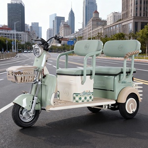 Xe ba bánh điện gấp gọn cao cấp 650W siêu bền, thích hợp cho người cao tuổi - Product Image 6