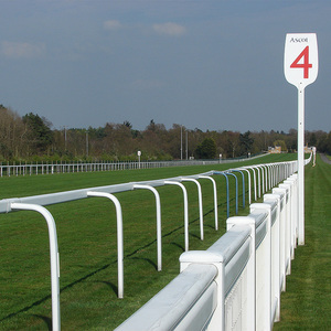 Clôture de cheval à <span class=keywords><strong>2</strong></span> rails en plastique PVC solide pour terrains d'entraînement et arénas d'équitation à prix d'usine compétitif - Product Image 6