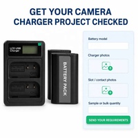 Chargeur de batterie double fente pour appareil photo DMW-BLJ31, compatible Lumix S1 S1R S1H, chargeur rapide USB double canal pour la vente en gros