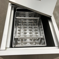 Hoge Efficiëntie 4-Vormige Commerciële IJslollymachine Snelle Productie Perfect voor het Creëren van Heerlijke IJsjes voor de Zomer