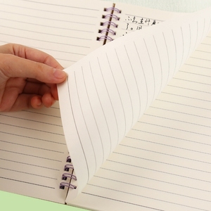 Cuaderno de Hojas Sueltas con Espiral Horizontal y Cubierta de PP, Impresión Personalizada de Alta Calidad, A5/B5, 80 Hojas, Opciones Multicolor, Venta Caliente - Product Image 5