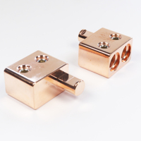 Amplificateur de batterie en aluminium, terminal CNC, 20 pièces