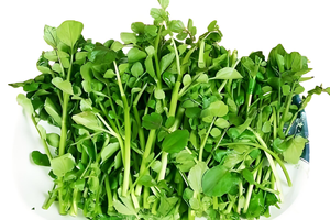 Extracto de <span class=keywords><strong>Nasturtium</strong></span> <span class=keywords><strong>Officinale</strong></span> en Polvo de Alta Calidad 10:1, Polvo Soluble en Agua Xiyangcai, Extracto Herbal de Grado Alimenticio de China - Product Image 3