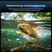 Hui Qing Yuan VC Taurine hydrosoluble de qualité alimentaire pour l'aquaculture, améliore la vitalité et la détoxification des animaux aquatiques (crevettes, poissons)