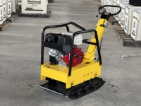 Mini compacteur à plaques pour moteur à essence de haute qualité 140kg 160kg 300kg C140 C160 C330 à vendre
