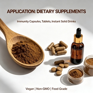 Extrait de Ganoderma Lucidum de qualité alimentaire, en poudre séchée par pulvérisation, <span class=keywords><strong>champignon</strong></span> Reishi, 10%-50% polysaccharides, 2%-10% triterpènes - Product Image 4