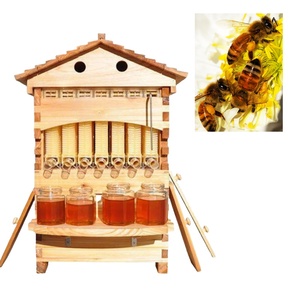 Hot <b>Sale</b> Automatic <b>Beehive</b> Wooden <b>Beehive</b> Box Pine Wood Plastic Frame <b>for</b> Beekeeping Farm Use Competitive Price - Product Image 1