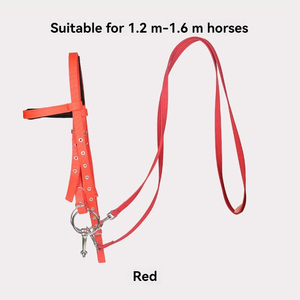 一套马笼水卷轴环带，用于马咀嚼和鞍座一体化的便捷解决方案 - Product Image 5