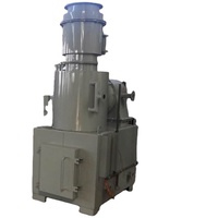 Incinérateur domestique compact et personnalisé, hautement efficace, 20 kg/h, adapté à la crémation des animaux de compagnie et à l'élimination des déchets ménagers