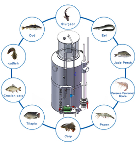 QihangRAS, fabricant chinois, écumeur de protéines Marino pour <span class=keywords><strong>aquarium</strong></span> d'eau salée, système d'aquaculture en recirculation, écumeur de protéines pour RAS - Product Image 5