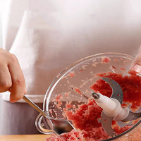 Mini hachoir à viande portable rechargeable en verre épaissi pour la cuisine, électrique, faible bruit, économe en énergie