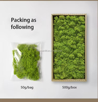 Mur végétal stabilisé avec lichens islandais et mousse de renne préservée pour la décoration intérieure, les murs de logo, les terrariums et l'artisanat