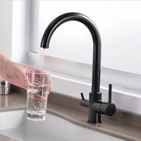 Robinet d'eau potable à double poignée avec cartouche en céramique, purificateur d'eau en acier inoxydable pour la cuisine domestique