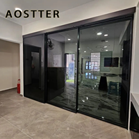 Porte de séparation en aluminium AOSTTER avec vitrage gris fumé, au design moderne sophistiqué et dotée d'une protection UV pour véranda