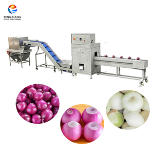 Máquina Peladora de Cebollas Automática Tipo Cadena y Cortadora de Raíces, Línea Industrial de Procesamiento de Pelado de Cebollas, Venta Directa de Fábrica - Product Image 1