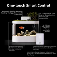 Aquarium rectangulaire en verre 30L, écologique, avec filtre à circulation automatique intelligent, aquarium de bureau pour animaux de compagnie, utilisation intérieure et extérieure