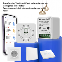 Interrupteur intelligent WiFi Tasmota FY02 16A |   Module de relais miniature DIY pour la domotique |   Application Android et commande vocale (protection IP65)